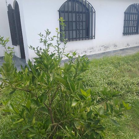 Hostel Alto Alberdi Cordoba Bagian luar foto