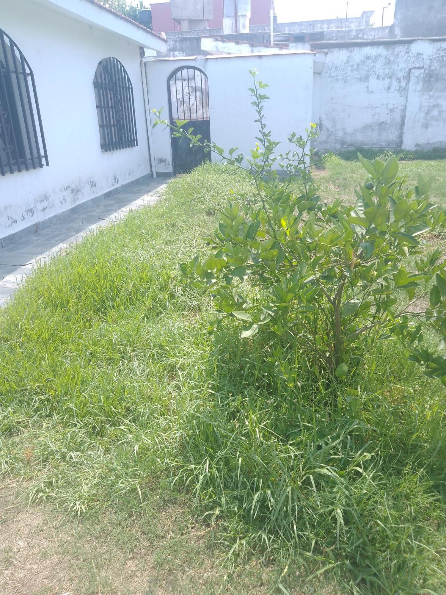 Hostel Alto Alberdi Cordoba Bagian luar foto